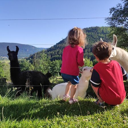 A L'Oree Du Bois Dommartin-lès-Remiremont Pokoj fotografie