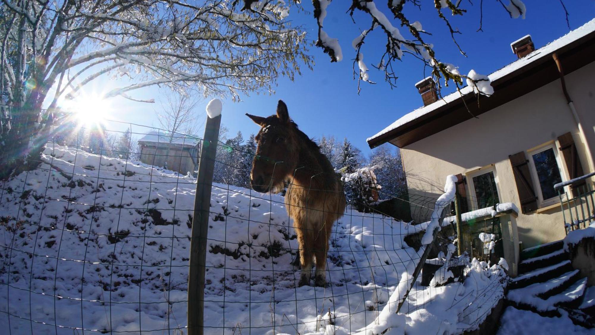 A L'Oree Du Bois Dommartin-lès-Remiremont Pokoj fotografie