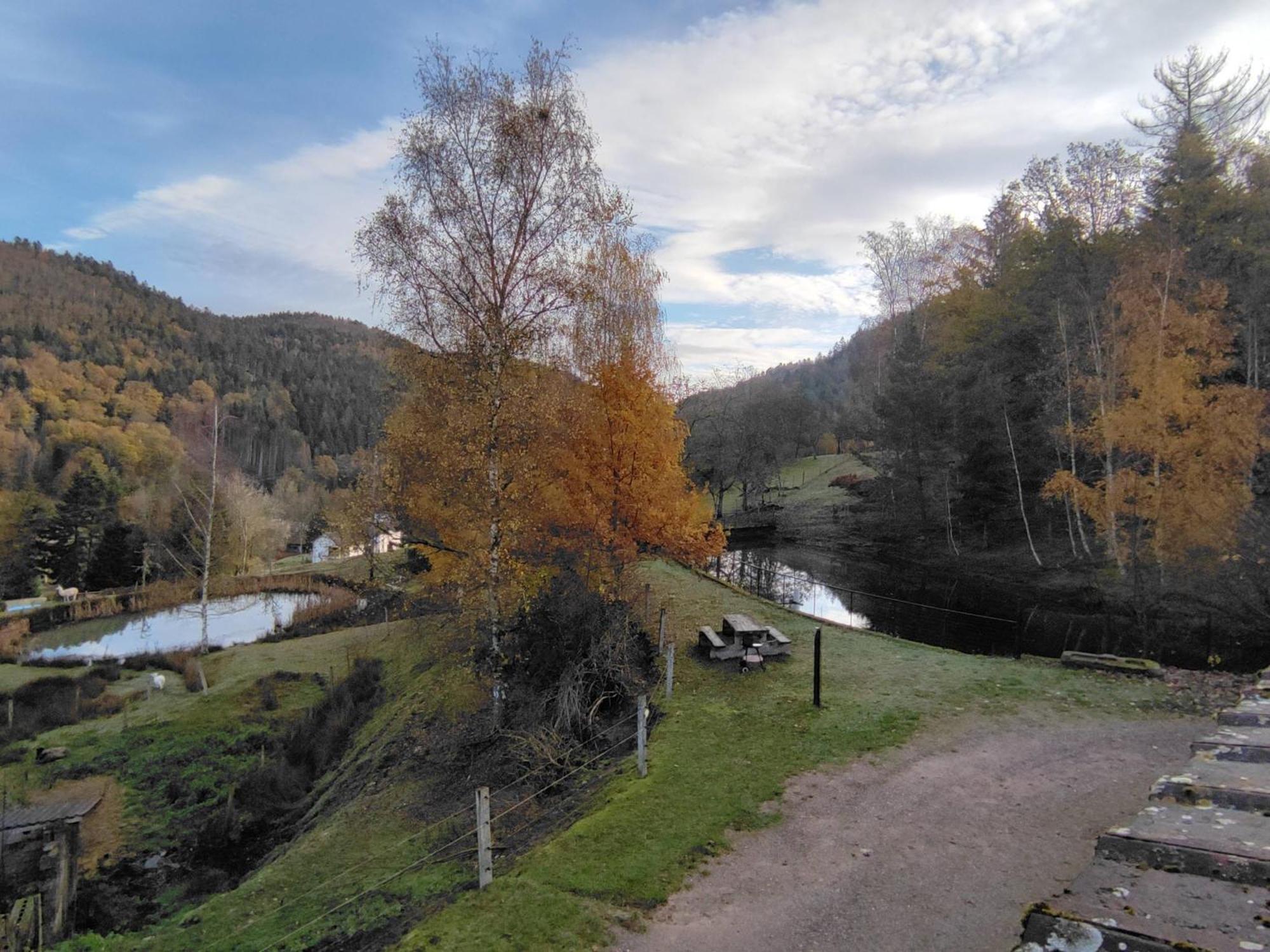 A L'Oree Du Bois Dommartin-lès-Remiremont Pokoj fotografie