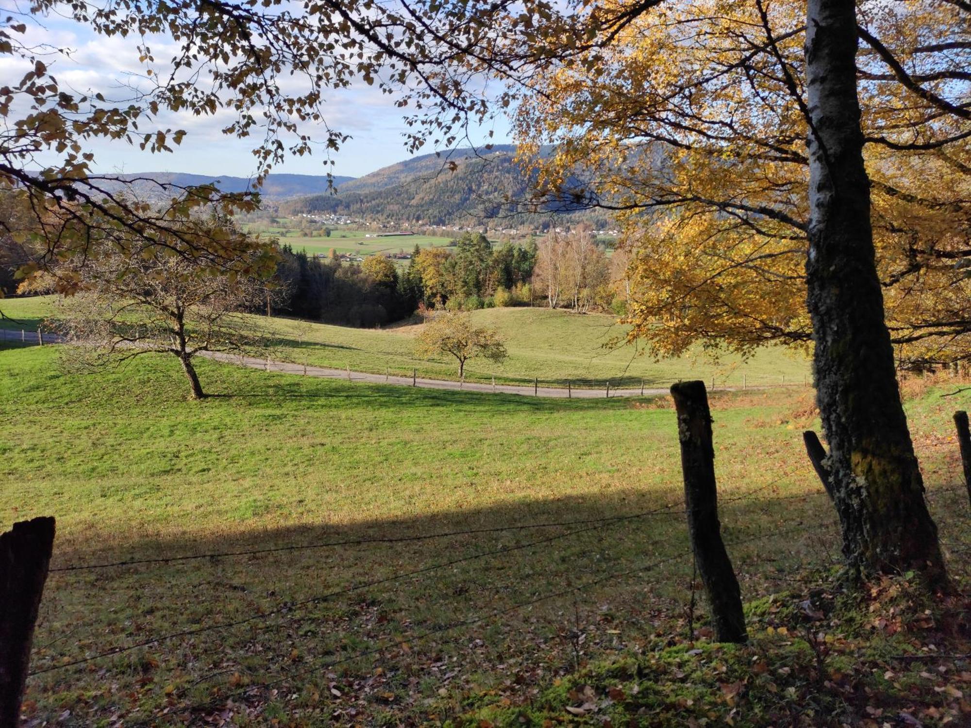 A L'Oree Du Bois Dommartin-lès-Remiremont Pokoj fotografie