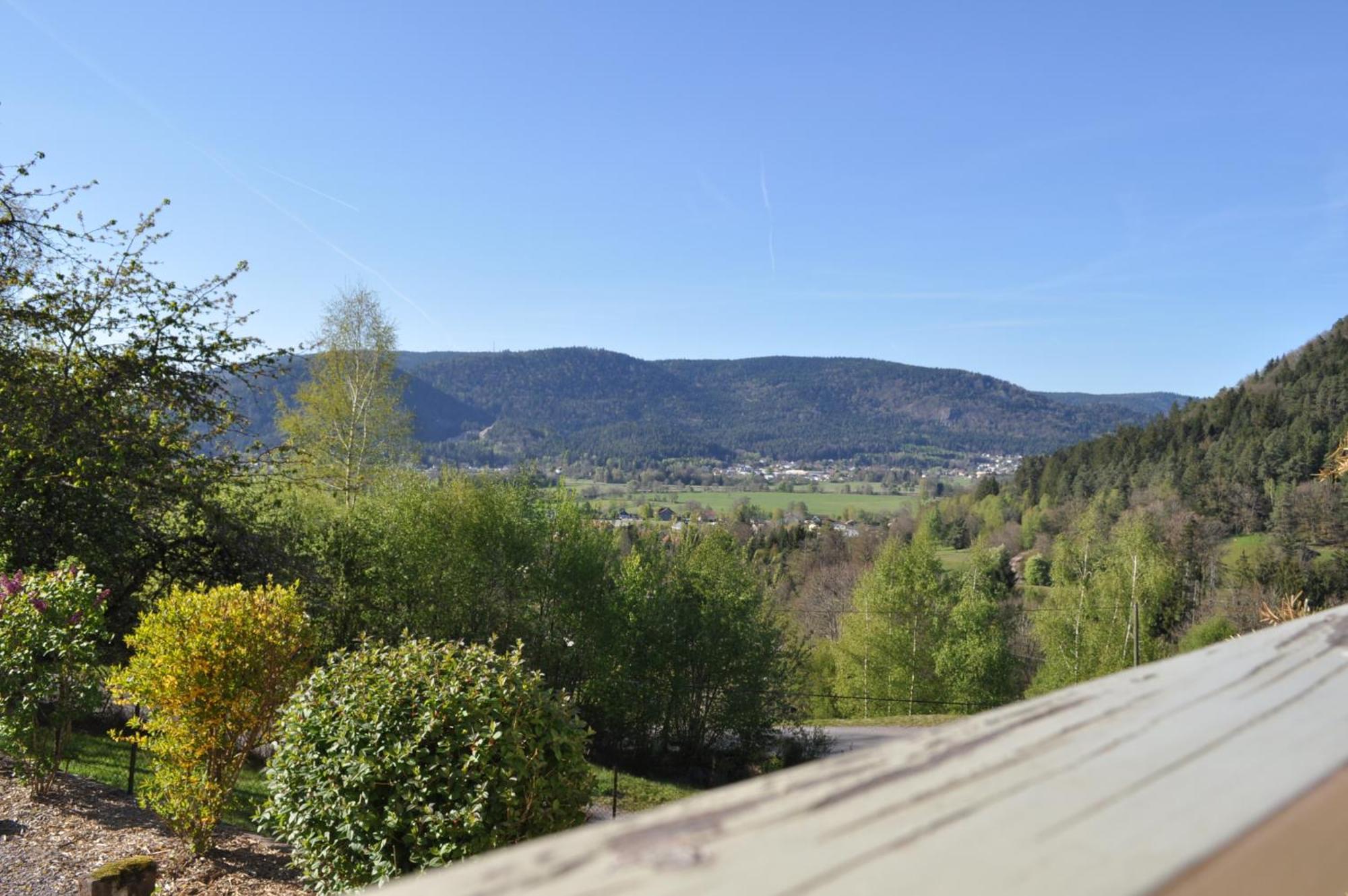 A L'Oree Du Bois Dommartin-lès-Remiremont Pokoj fotografie