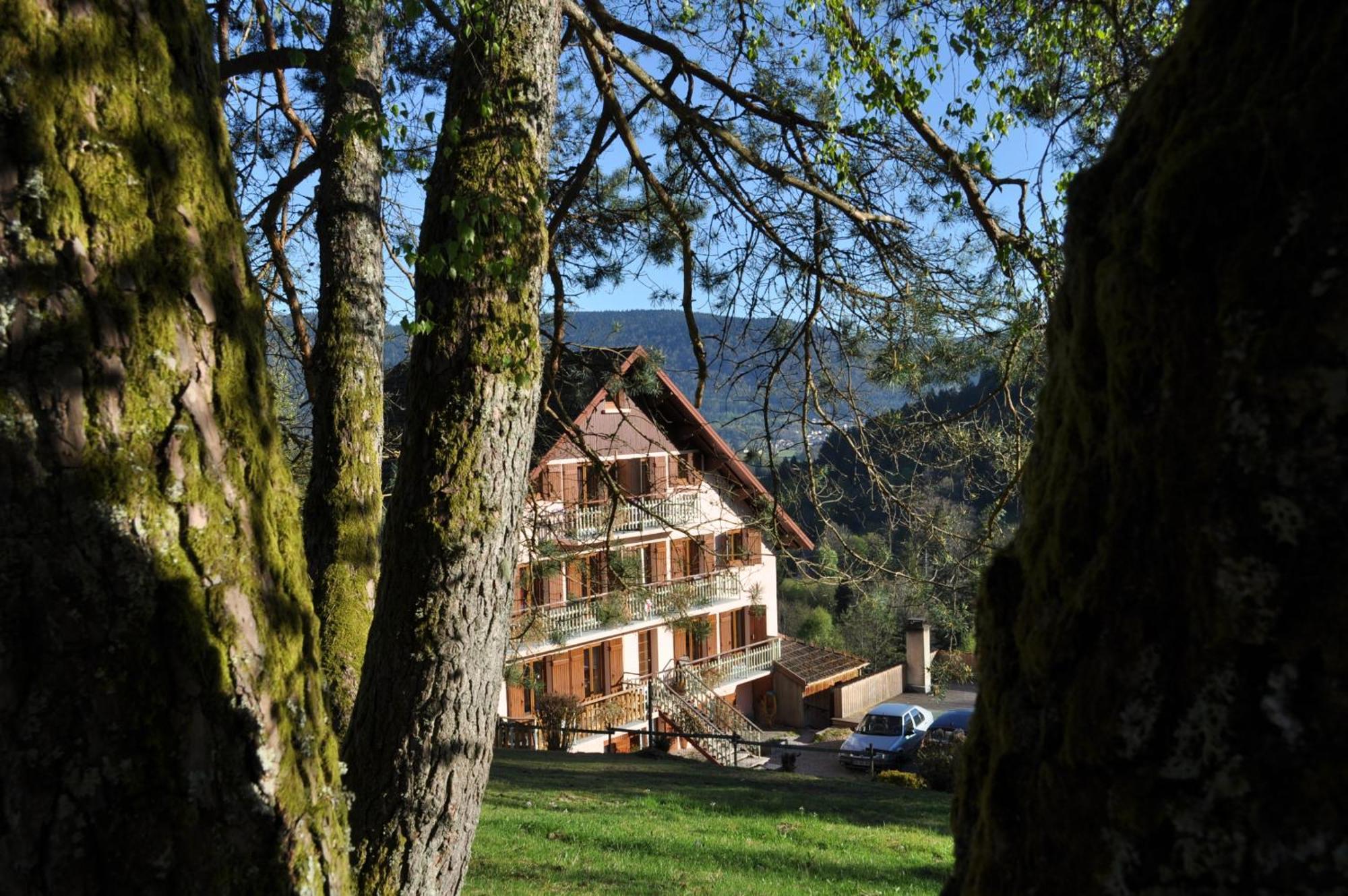 A L'Oree Du Bois Dommartin-lès-Remiremont Exteriér fotografie