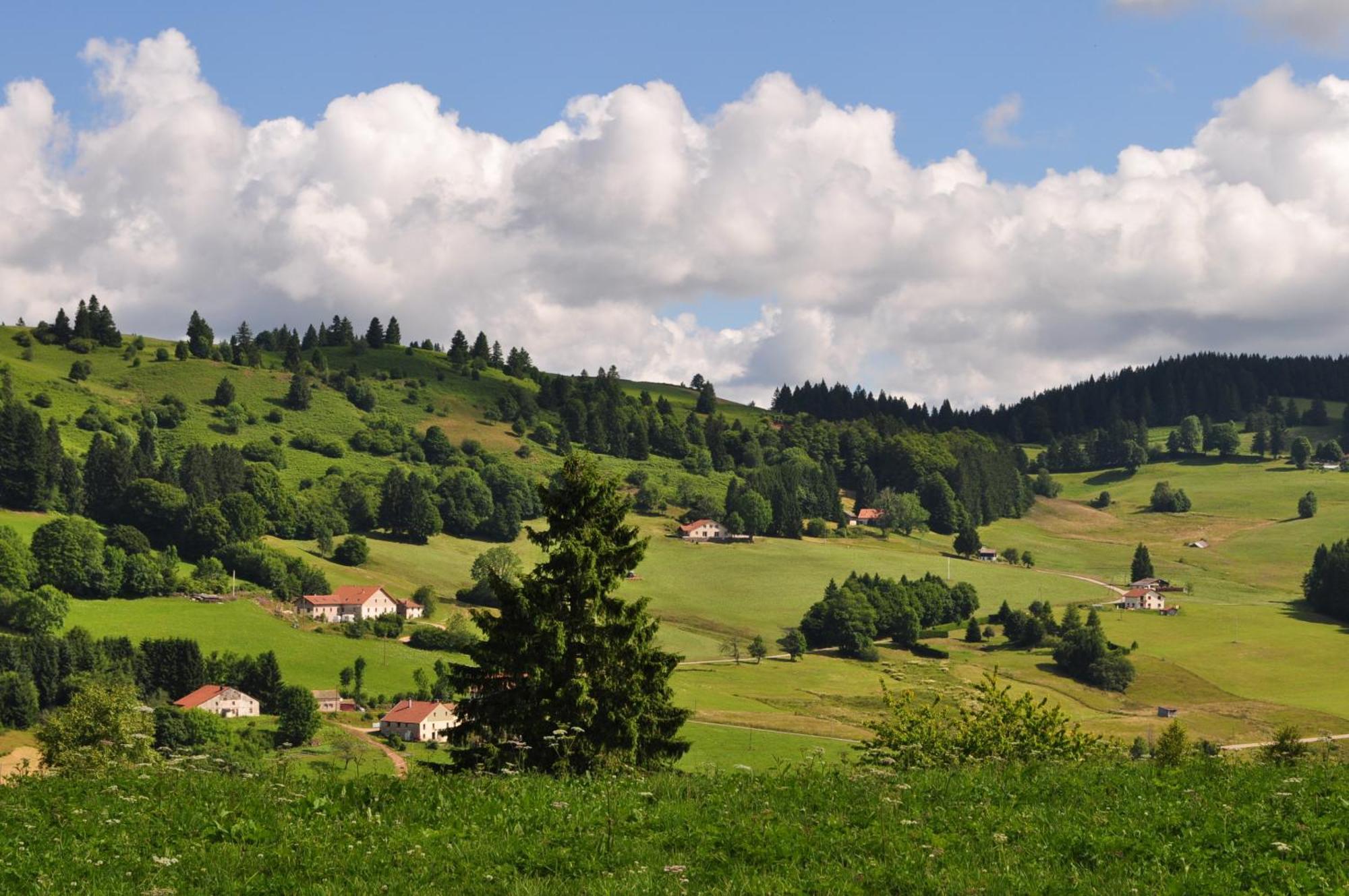 A L'Oree Du Bois Dommartin-lès-Remiremont Pokoj fotografie